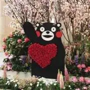 川添 めぐみの画像
