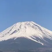 ぶー345の画像