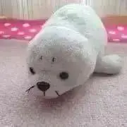 ゆっきー　プロフ必読