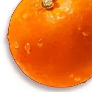 タコライス
