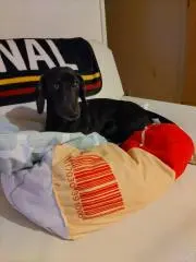いまのり