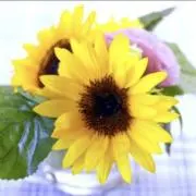 ♡smile♡の画像