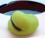 そら豆(੭˙꒳˙)੭の画像
