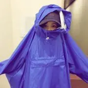 シブレイ