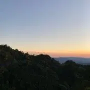 咲耶の画像