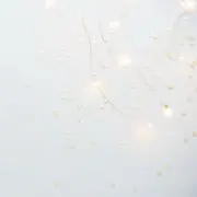 しろやぎさんの画像
