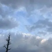 ♦月@24時間以内の発送を心がけていますの画像