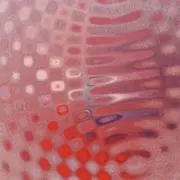 どんぐりの画像