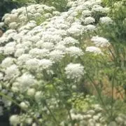 mnmnmnの画像