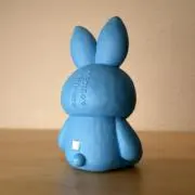 Rioの画像