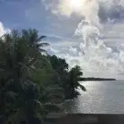 サーフの画像