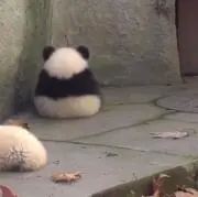 aの画像