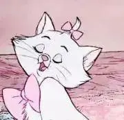 y♡