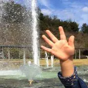 メロディーの画像