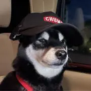 小太郎の画像