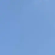きの画像