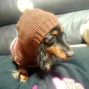 たまぽよん