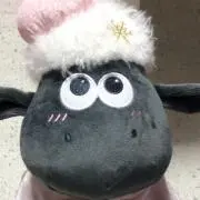 アマルフィの画像