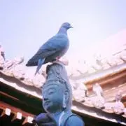 B&Gの画像