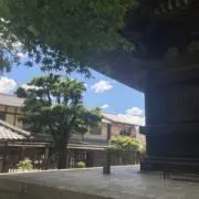 ことはの画像
