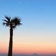アイの画像