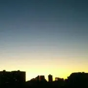Yuyuの画像