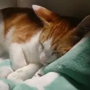 エソラ