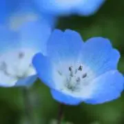 !_o_o_!の画像