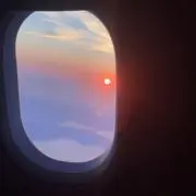 キウイの画像