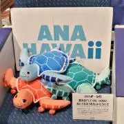 ㊗️A380就航の画像