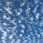 むつの画像