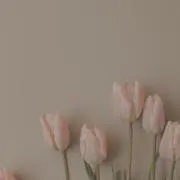 ぴの〜近日処分品 多数あり〜の画像