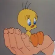 kyomoの画像