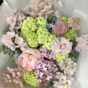 nyannyanの画像