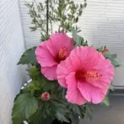 mom.of.5kidsの画像