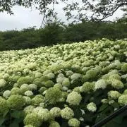 ととの画像
