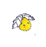 insect