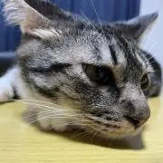 まなやん　値段交渉お気軽にの画像