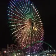 くぅの画像