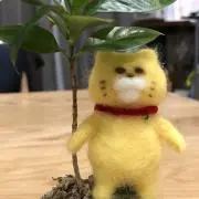 trmkの画像