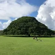 nicoseeの画像