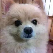 S☆2児ママの画像