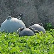 スピ系♪癒し系♪大好きな☆ひっちゃん☆の画像