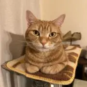 ソラくんの画像