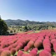 Shi-----の画像
