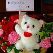 よっちの画像