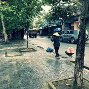 ノンダの画像