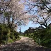 kaworuの画像