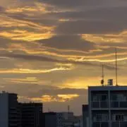 チン