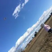 *✧みつミツ*✧の画像